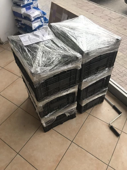 Lavanta Fidanı 5 Adet 15-25 Cm İntermedia - 4
