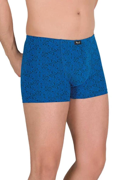 Berrak 4497 Modal Deseli Erkek Boxer BATTAL XXL - 9