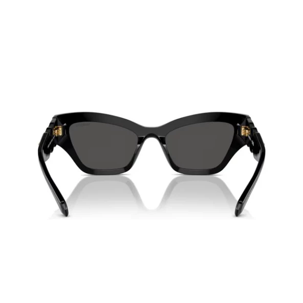 Swarovski 0SK6021 10018753 HN Kadın Güneş Gözlüğü - Resim 2