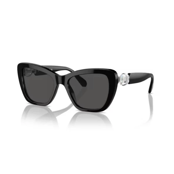 Swarovski 0SK6018 10018752 HN Kadın Güneş Gözlüğü ürün görseli