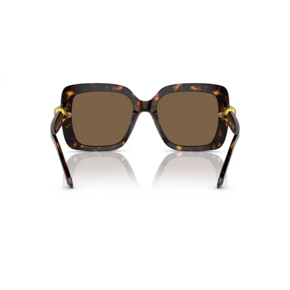 Swarovski 0SK6001 10027355 HN Kadın Güneş Gözlüğü - Resim 3