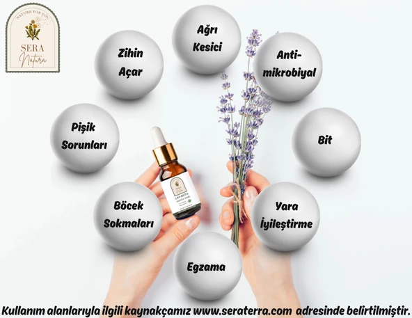 Tıbbi Lavanta Uçucu Yağı 10 ml. %100 Saf - 4