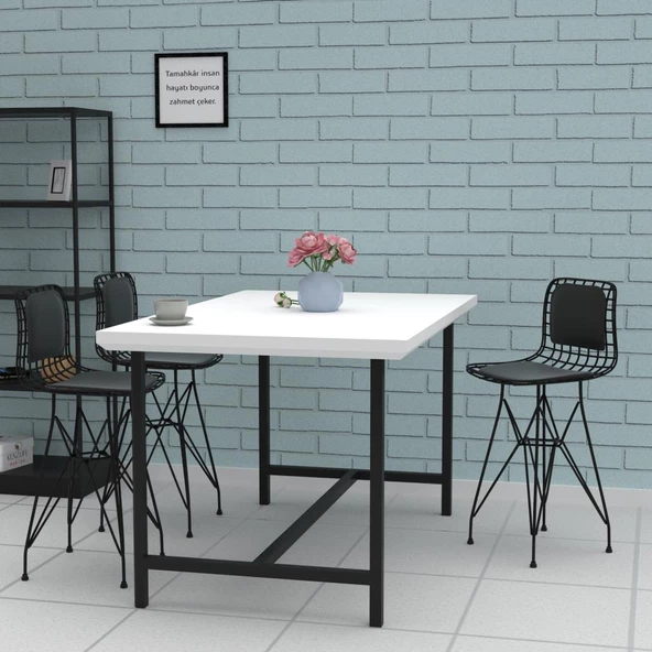 Knsz ufak boy tel bar sandalyesi 2 li uslu syhsyh sırt minderli 55 cm oturma yüksekliği mutfak bahçe cafe ofis - Resim 3