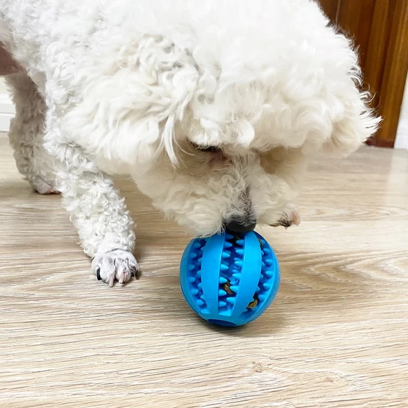 Mama Hazneli Köpek ve Kedi Eğitim Ve Oyun Topu Turuncu - 8