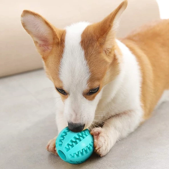 Mama Hazneli Köpek ve Kedi Eğitim Ve Oyun Topu Turuncu - 2