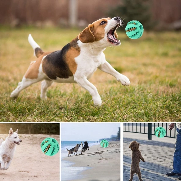 Mama Hazneli Köpek ve Kedi Eğitim Ve Oyun Topu Turuncu - 4
