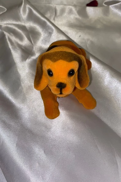 Golden Retriever Kafa Sallayan Köpek Başını Sallayan Köpek Sallanan Köpek - Resim 6