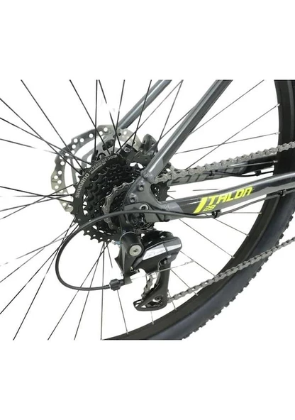 GIANT TALON 2-S ERKEK DAĞ BİSİKLETİ M360H HD 29 JANT 16 VİTES ACERA GRİ - 2