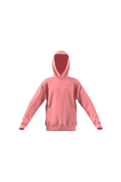 adidas Çocuk  J SZN GFX HD Sweatshirt IV7116