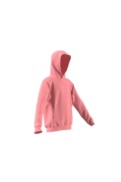 adidas Unisex Çocuk  J SZN GFX HD Sweatshirt IV7116 - 2