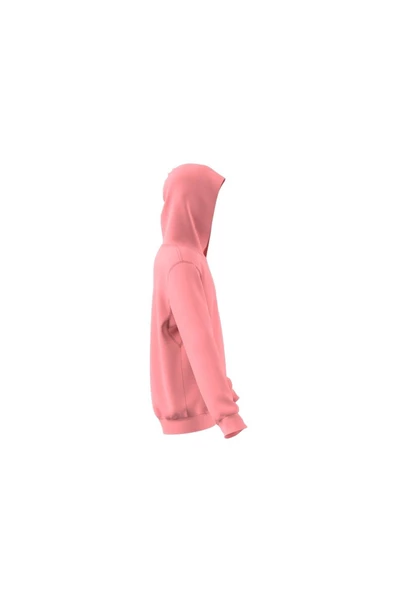 adidas Unisex Çocuk  J SZN GFX HD Sweatshirt IV7116 - 3