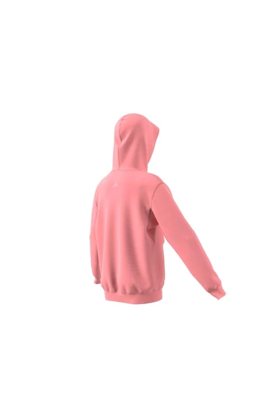 adidas Unisex Çocuk  J SZN GFX HD Sweatshirt IV7116 - 4