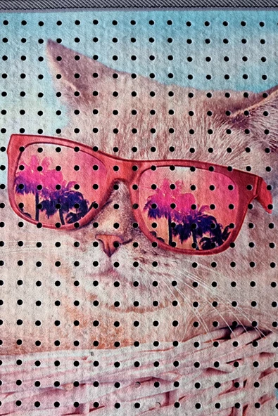 Kedi Kumu Paspası, Delikli Kedi Tuvaleti Paspası, Dijital Baskılı Kedi Paspası - Resim 7