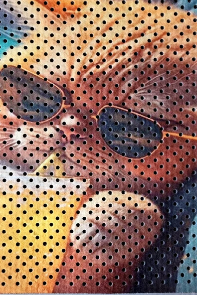 Kedi Kumu Paspası, Delikli Kedi Tuvaleti Paspası, Dijital Baskılı Kedi Paspası - Resim 2