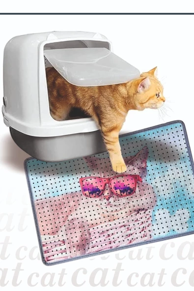 Kedi Kumu Paspası, Delikli Kedi Tuvaleti Paspası, Dijital Baskılı Kedi Paspası - Resim 6