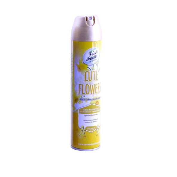 Automix Araba Araç Otomobil Oto Ev Oda Ofis Otel Koku Parfüm Sprey Passion Temiz Hava Kokusu 300 ML - 7