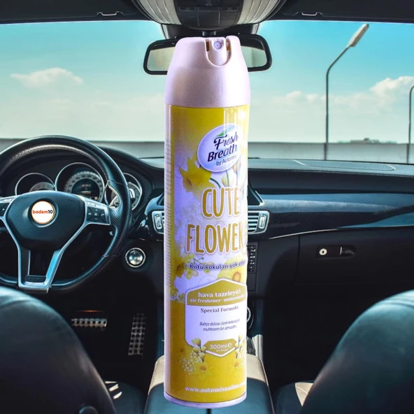 Automix Araba Araç Otomobil Oto Ev Oda Ofis Otel Koku Parfüm Sprey Passion Temiz Hava Kokusu 300 ML - 5