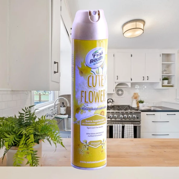 Automix Araba Araç Otomobil Oto Ev Oda Ofis Otel Koku Parfüm Sprey Passion Temiz Hava Kokusu 300 ML - 4