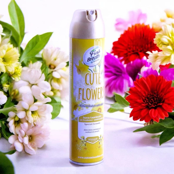 Automix Araba Araç Otomobil Oto Ev Oda Ofis Otel Koku Parfüm Sprey Passion Temiz Hava Kokusu 300 ML - 3