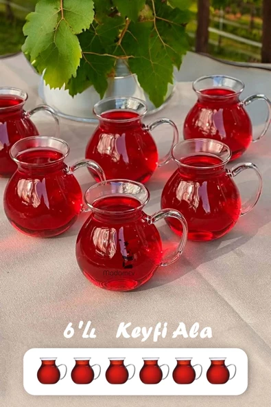 Madamev 6'lı Keyfi Ala Borosilikat Cam Bardak Takımı Isıya Dayanıklı Kulplu Çay Fincanı Bardağı Seti