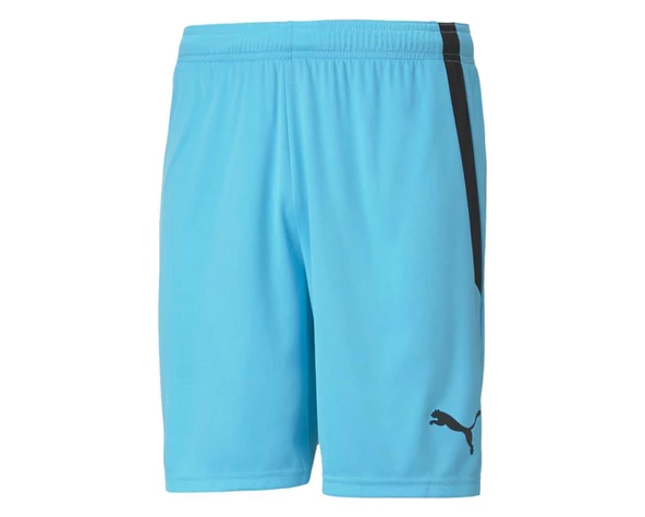 Puma 704924 Teamliga Shorts Erkek Futbol Şortu - 4