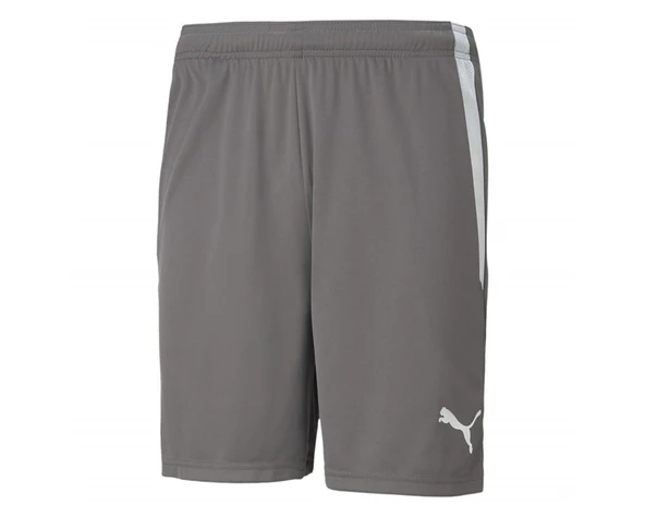 Puma 704924 Teamliga Shorts Erkek Futbol Şortu - 3