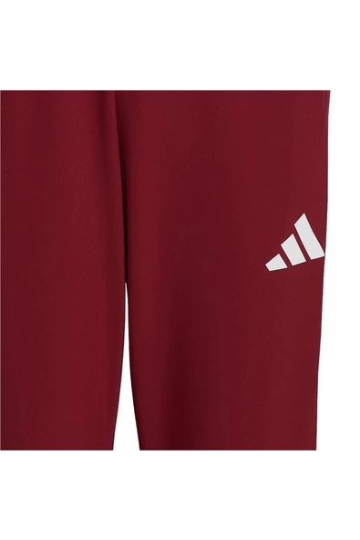 adidas TURKIYE P PNT M Erkek   Eşofman Altı JH0784 - 4