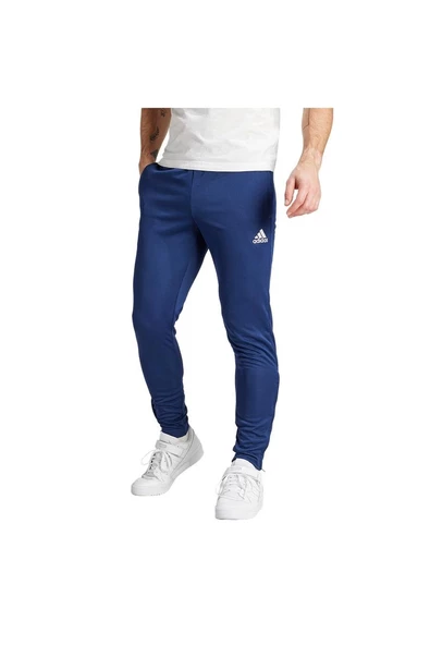 adidas ENT22 TR PNT Erkek Eşofman Altı HC0333