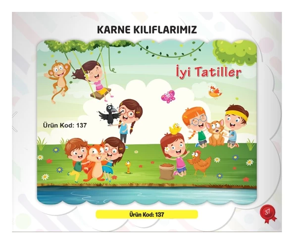 Karne Kabı Kılıfı Ürün Kodu:137 (25 Adet)