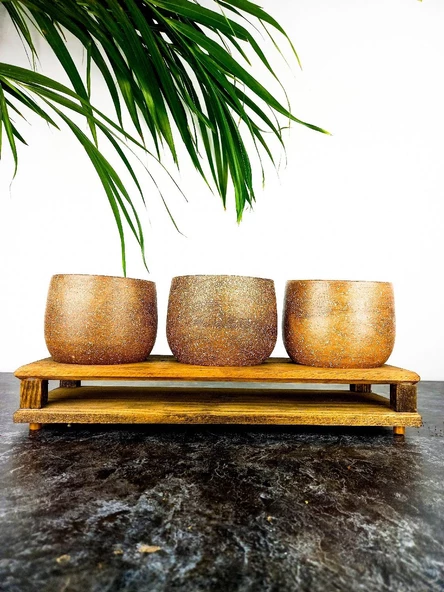 Bitki Tasarımı Ev dekorasyon Aksesuar Kahverengi Granit Efektli Düz Toprak Saksı Üçlü Ahşap Tabanlı Çiçeklik Saksı Saksılık ürün görseli