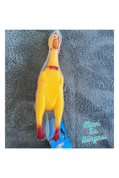 Büyük Viril Öten Horoz