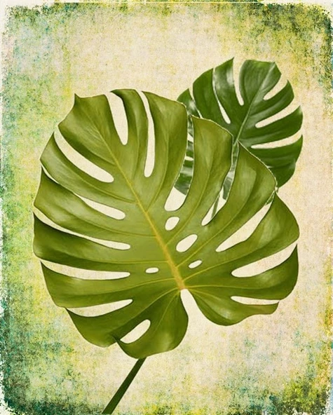 Tropik Yaprak 2 - Kanvas Tablo ürün görseli