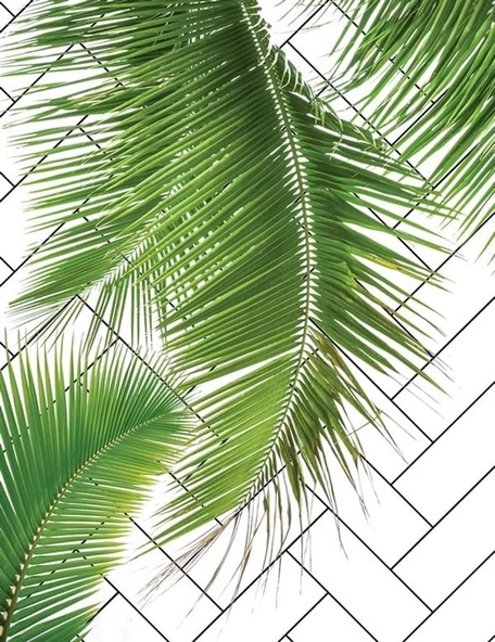 Tropik Yaprak - Kanvas Tablo - Resim 2