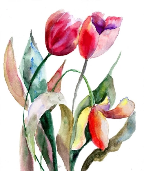 Kırmızı Lale - Kanvas Tablo ürün görseli