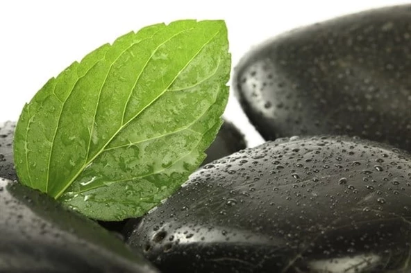 Spa Taşı 2 - Kanvas Tablo - Resim 2