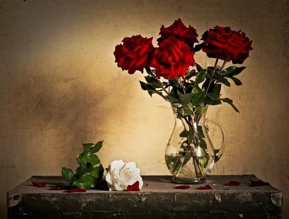 Kırmızı ve Beyaz Güller - Kanvas Tablo ürün görseli