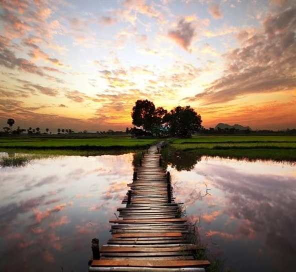 Yeşilliğe Giden İskele - Kanvas Tablo - Resim 2