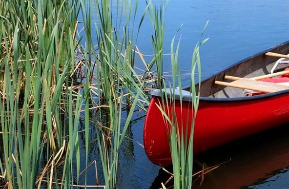 Kırmızı Kano  - Kanvas Tablo - Resim 2