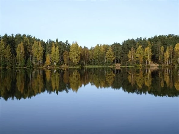 Orman ve Göl - Kanvas Tablo ürün görseli 1