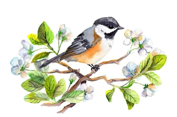 Daldaki Küçük Kuş - Kanvas Tablo - Resim 2