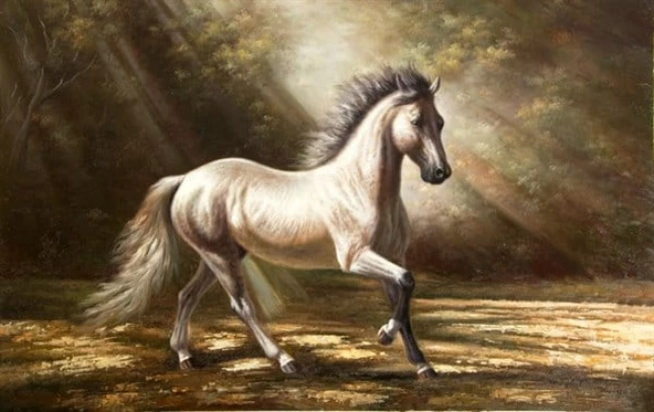 Beyaz, Yeleli At - Kanvas Tablo - Resim 2