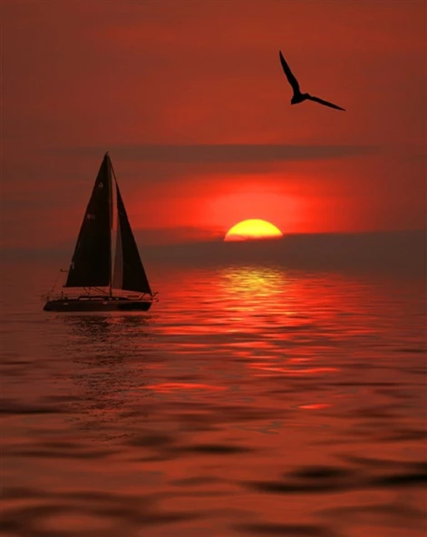Gün Batımında Yelkenli ve Martı - Kanvas Tablo ürün görseli