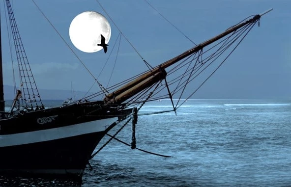 Mehtap Turu - Kanvas Tablo - Resim 2