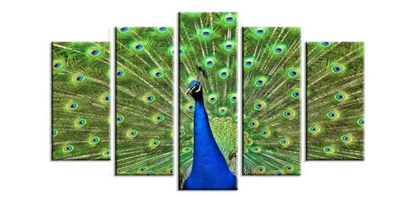 Tavus Kuşu 5 Parçalı Kanvas Tablo - Resim 2