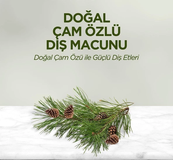 Eyüp Sabri Tuncer Diş Macunu 90 Ml - Çam Özlü - 2