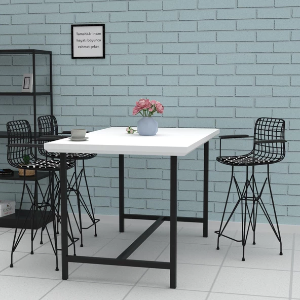 Knsz orta boy tel bar sandalyesi 1 li mağrur syhviona kolçaklı 65 cm oturma yüksekliği mutfak bahçe cafe ofis - Resim 3