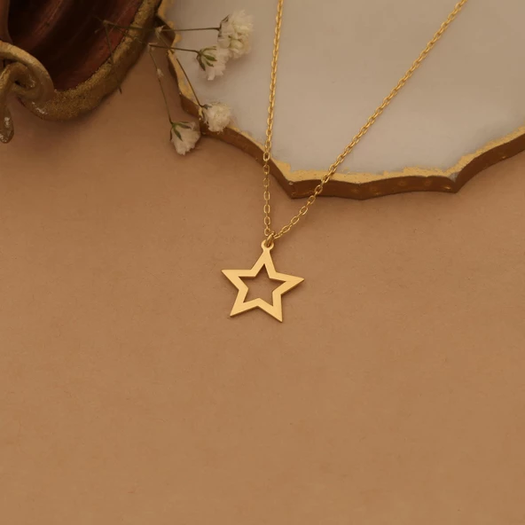14 Ayar Mikron Altın Kaplama Yıldız Figürlü Minimal Kolye - CN00234 - Resim 5