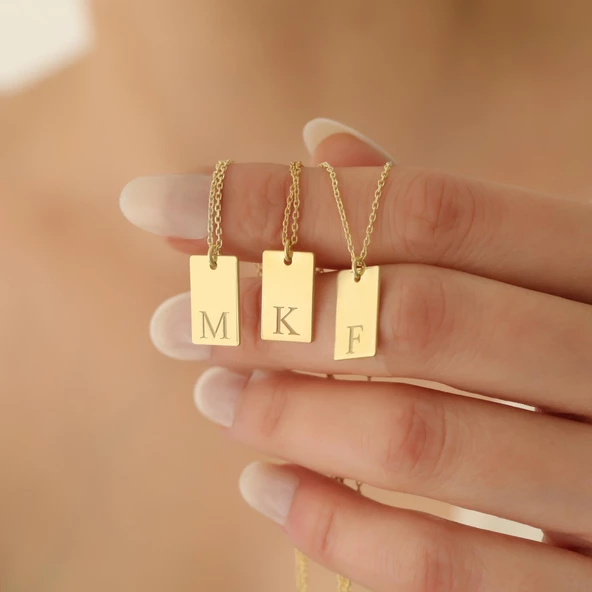 14 Ayar Altın Mikron Kaplama Minimal Tasarım Baş Harfli Bar Gümüş Kolye - CN00289 ürün görseli 1