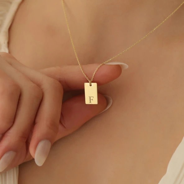 14 Ayar Altın Mikron Kaplama Minimal Tasarım Baş Harfli Bar Gümüş Kolye - CN00289 - Resim 3