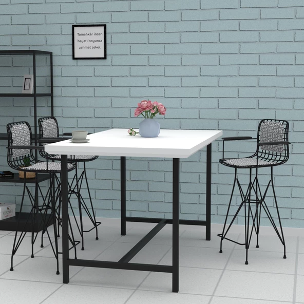 Knsz orta boy tel bar sandalyesi 1 li mağrur syhtalen kolçaklı sırt minderli 65 cm oturma yüksekliği mutfak bahçe cafe ofis - Resim 3